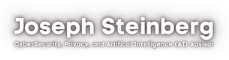 Joseph Steinberg: CyberSecurity Expert Witness, Privacy, Artificial Intelligence (AI) Advisor